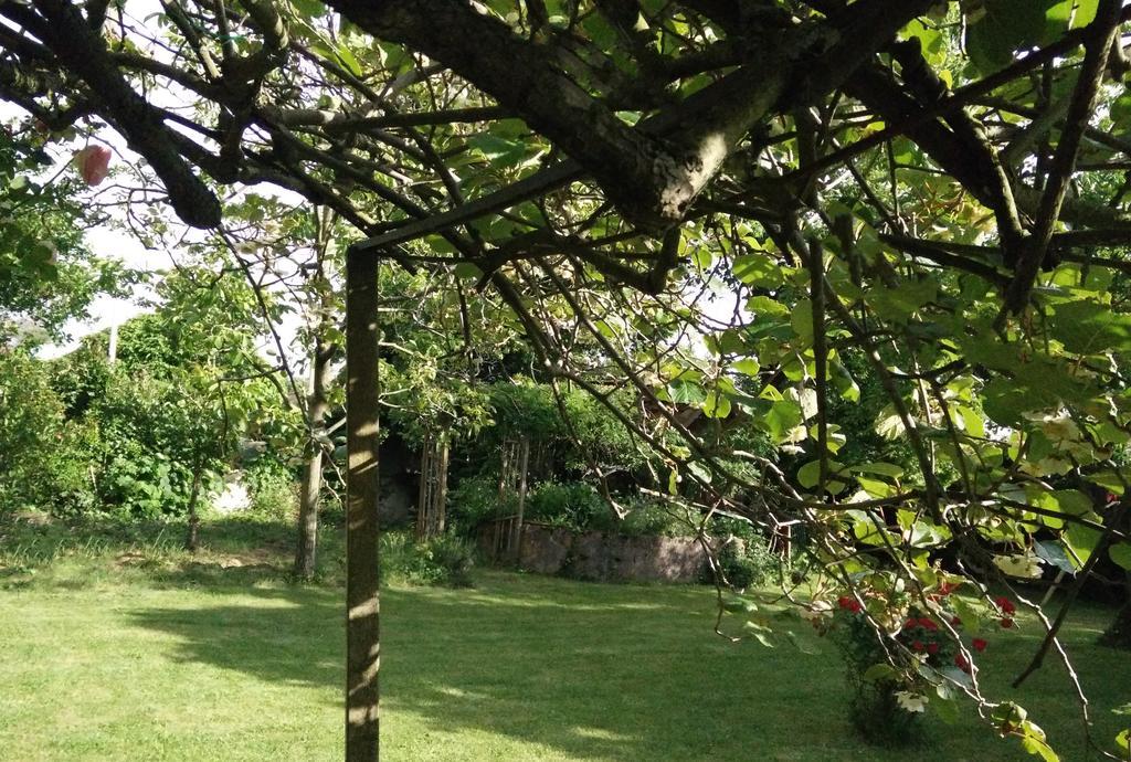 Gentil'Home - Toulouse B&B Prestige Fenouillet  Eksteriør billede